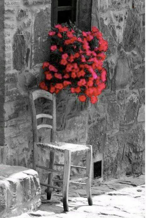 The awaiting... 
The blooming...

That has rebelled the  proclaimed immortality ...