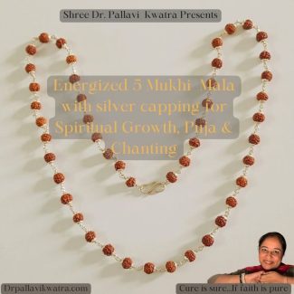 Energized 5 Mukhi Rudraksh Maala - Image 5