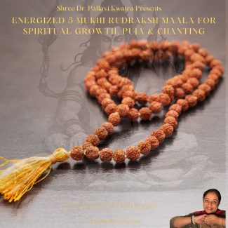 Energized 5 Mukhi Rudraksh Maala - Image 4