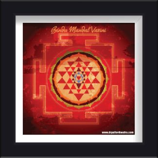 Bindu Mandal Vasini Photo Frame