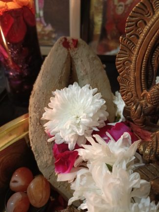 KALAVAHANA SHAKTI RITUAL - Image 3