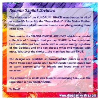 Spanda Digital Photo Frames - Image 2