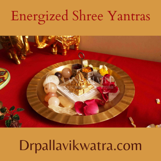 Combo Shree Yantra With Free Lalitasahasranama - Image 3