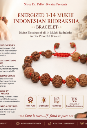 Energized 1-14 Mukhi Rudraksha (Ganesh, Gaurishankar)Bracelet