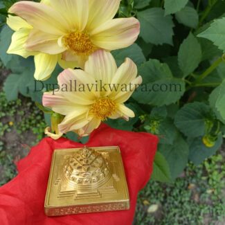 Energized Brass Mahalaxmi Shreeyantra 2.5"for Wealth & Financial Abundance - Image 6