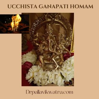 Combo Ucchista Ganapati Puja - Image 2