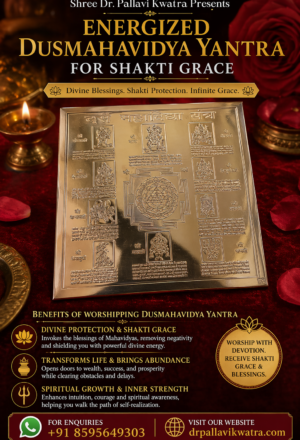 Energized Dus Mahavidya Yantra