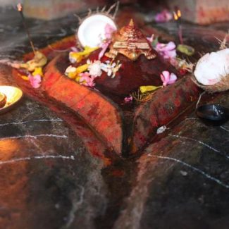 Navratri Kamakhya Puja - Image 4