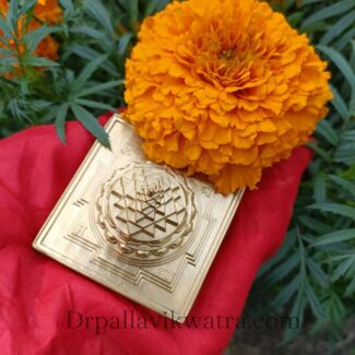 Energized 3d Sriyantra Brass Beeja - Image 8