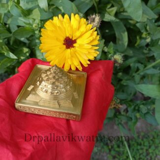 Energized 3d Sriyantra Brass Beeja - Image 6