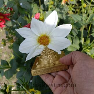 Energized 3d Sriyantra Brass Beeja - Image 5