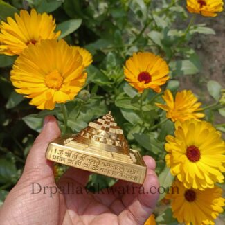 Energized 3d Sriyantra Brass Beeja - Image 4