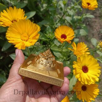 Energized 3d Sriyantra Brass Beeja - Image 3