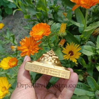 Energized 3d Sriyantra Brass Beeja - Image 2