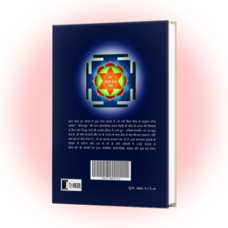 Ucchista Ganapati Hindi Book (उच्चिष्ट गणपति: परंपरा के पर्दे से परे) - Image 20