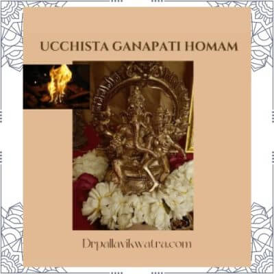 Amavasya–Grahan Bandhana Mukti Homam - Image 6