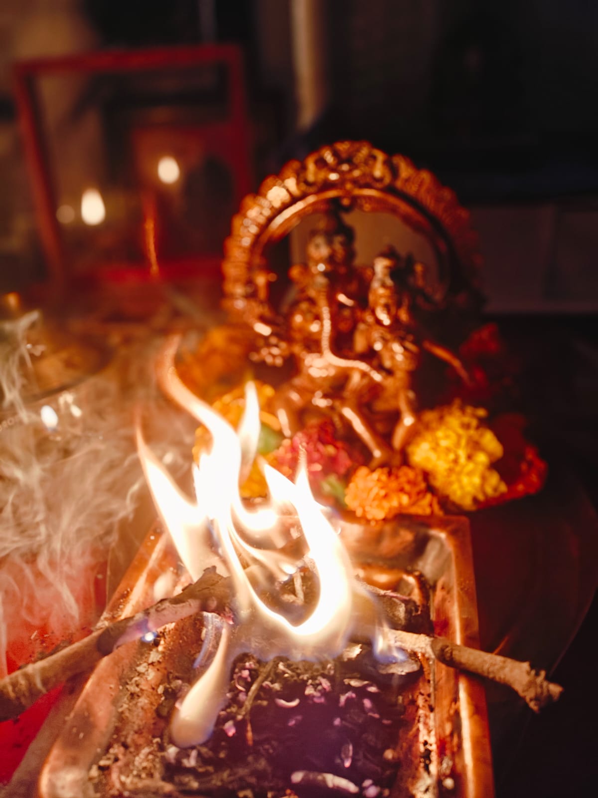 Amavasya–Grahan Bandhana Mukti Homam - Image 7