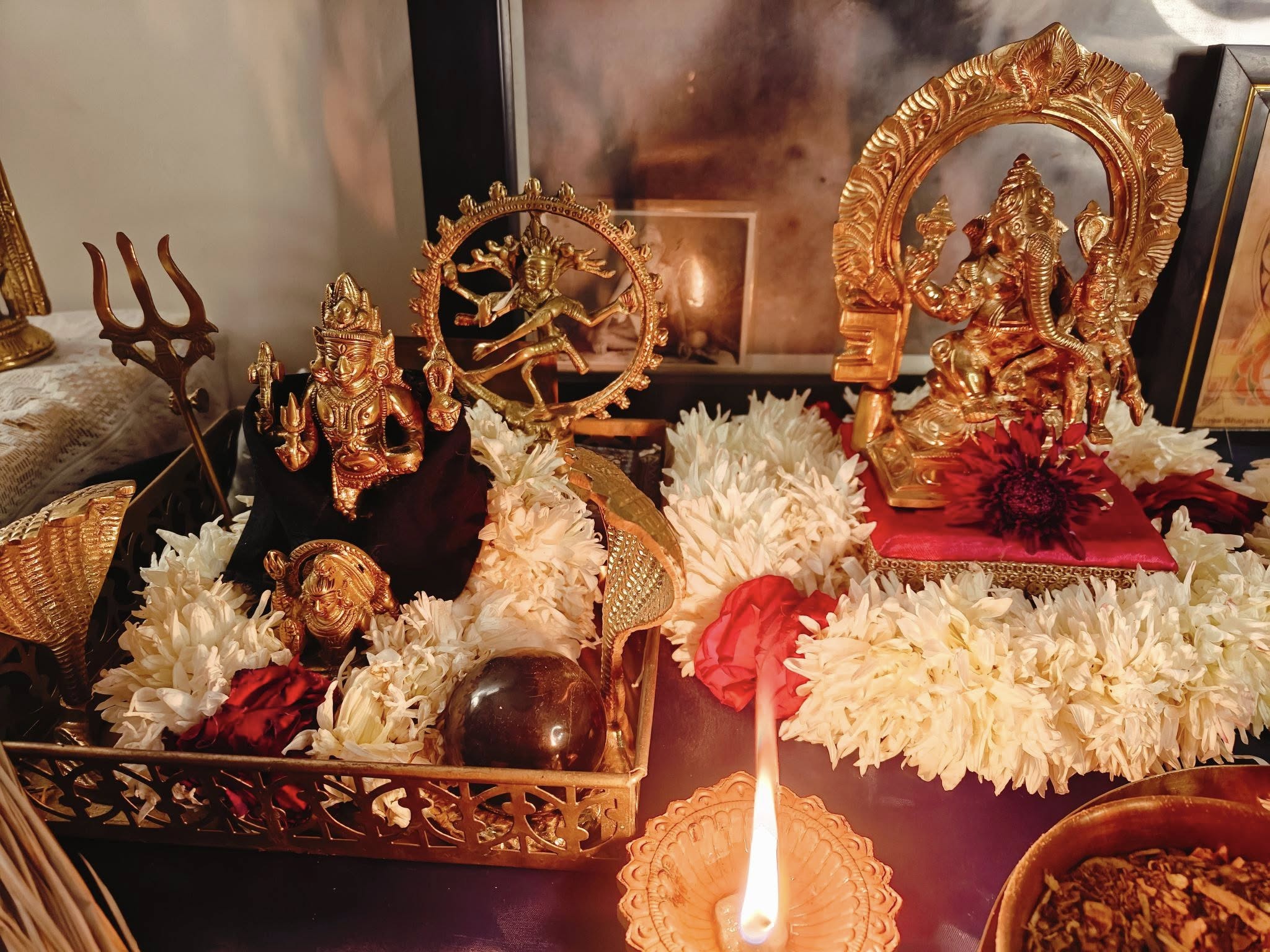 Amavasya–Grahan Bandhana Mukti Homam - Image 14